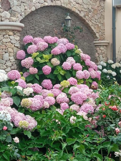Bed and Breakfast A Casa Di Gi Porto Torres Zewnętrze zdjęcie